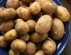 http://recipes.vonmetz.com/newpotatoes.jpg